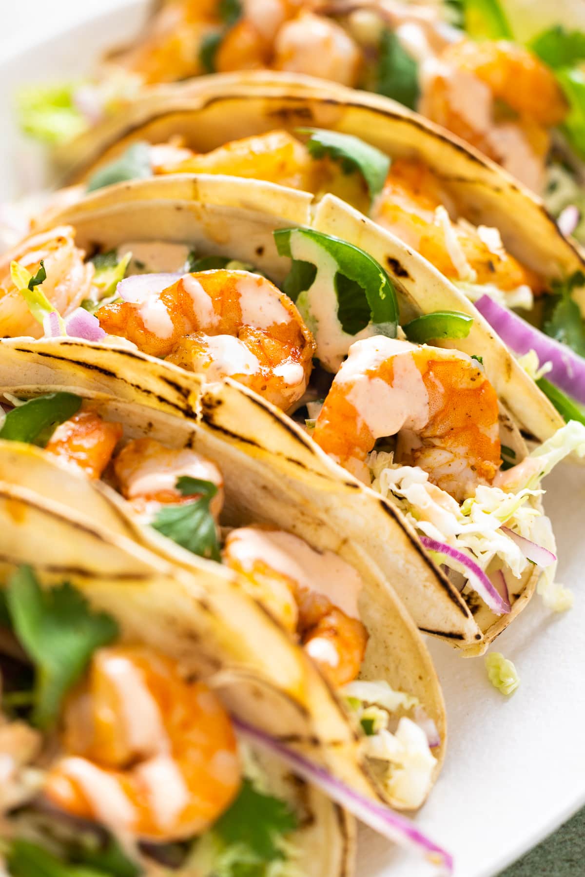 Tacos for Everyone with a Variety of Proteins and Vegetarian