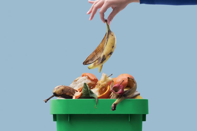 Waste not, want not: Rethinking food waste